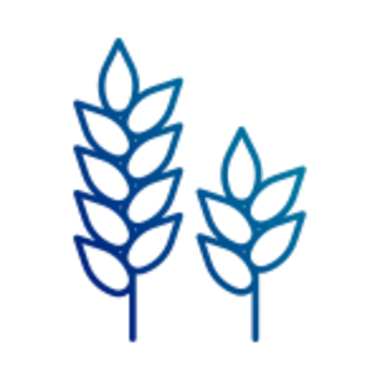 Blue icon illustrating agricultural genomics application